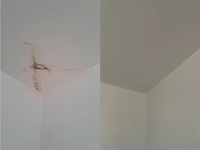 Rénovation d'un plafond en peinture suite à une infiltration d'eau à Saint-Jean-de-la-Porte